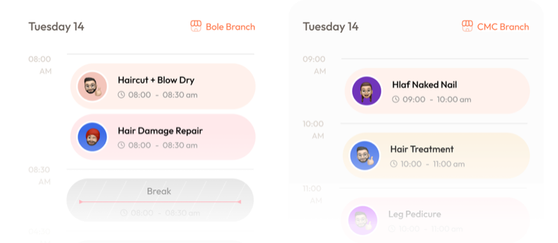Two branch calendars side by side, each showing the day's appointments and a break.